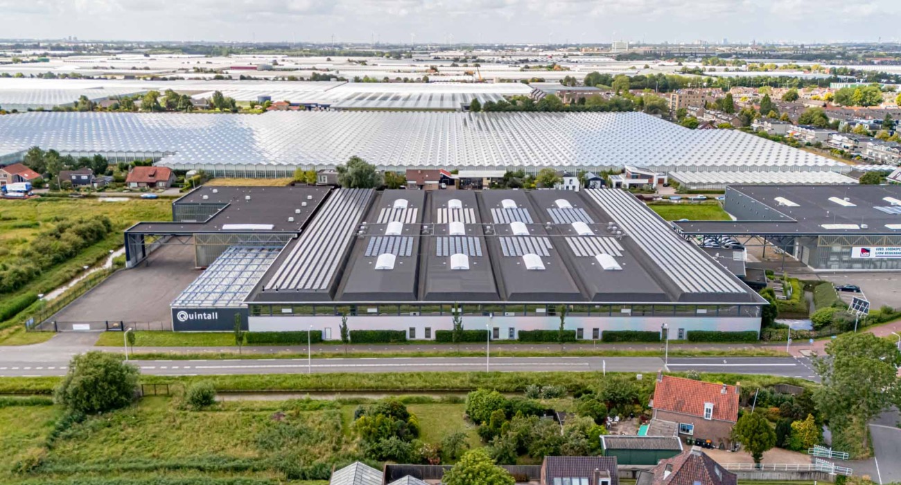 Gebogen lichtstraten - Quintall Kwintsheul