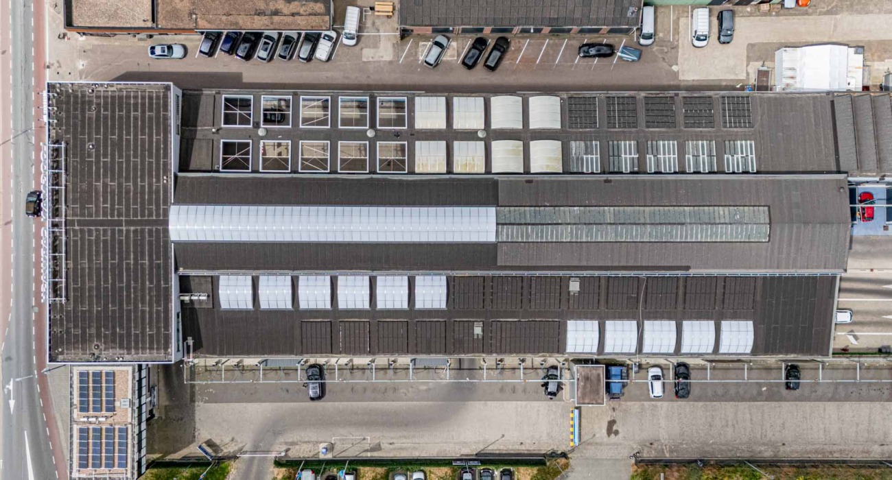 Gebogen lichtstraten - Loogman Rotterdam