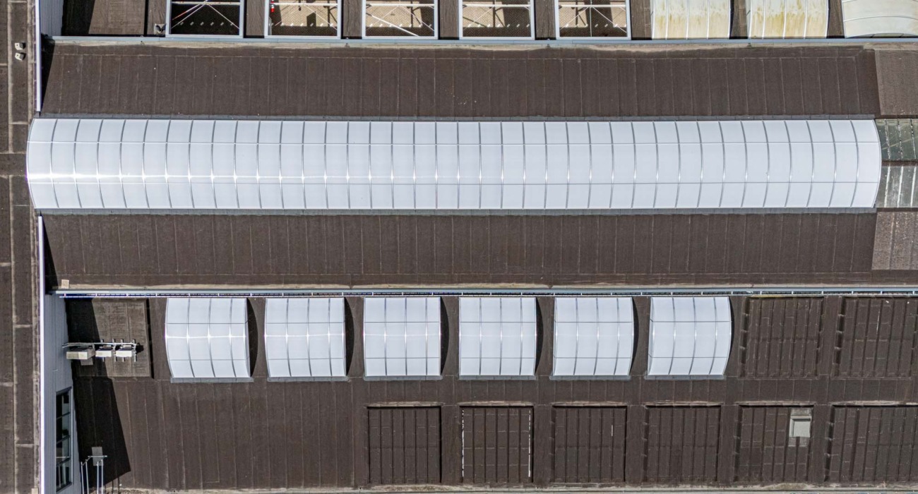 Gebogen lichtstraten - Loogman Rotterdam